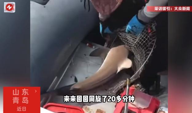 “活久见！”近日，山东青岛，一男子在胶州湾钓鱼时，鱼钩突然被咬住并且拖行了60多