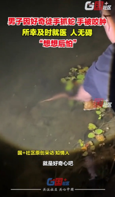 “好奇害死猫！”江苏南京，一男子和朋友在江边散步，忽然有人发现水中有东西在游动，