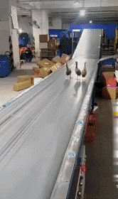 真佩服你们什么东西都上网买！快递大哥都被整懵了？