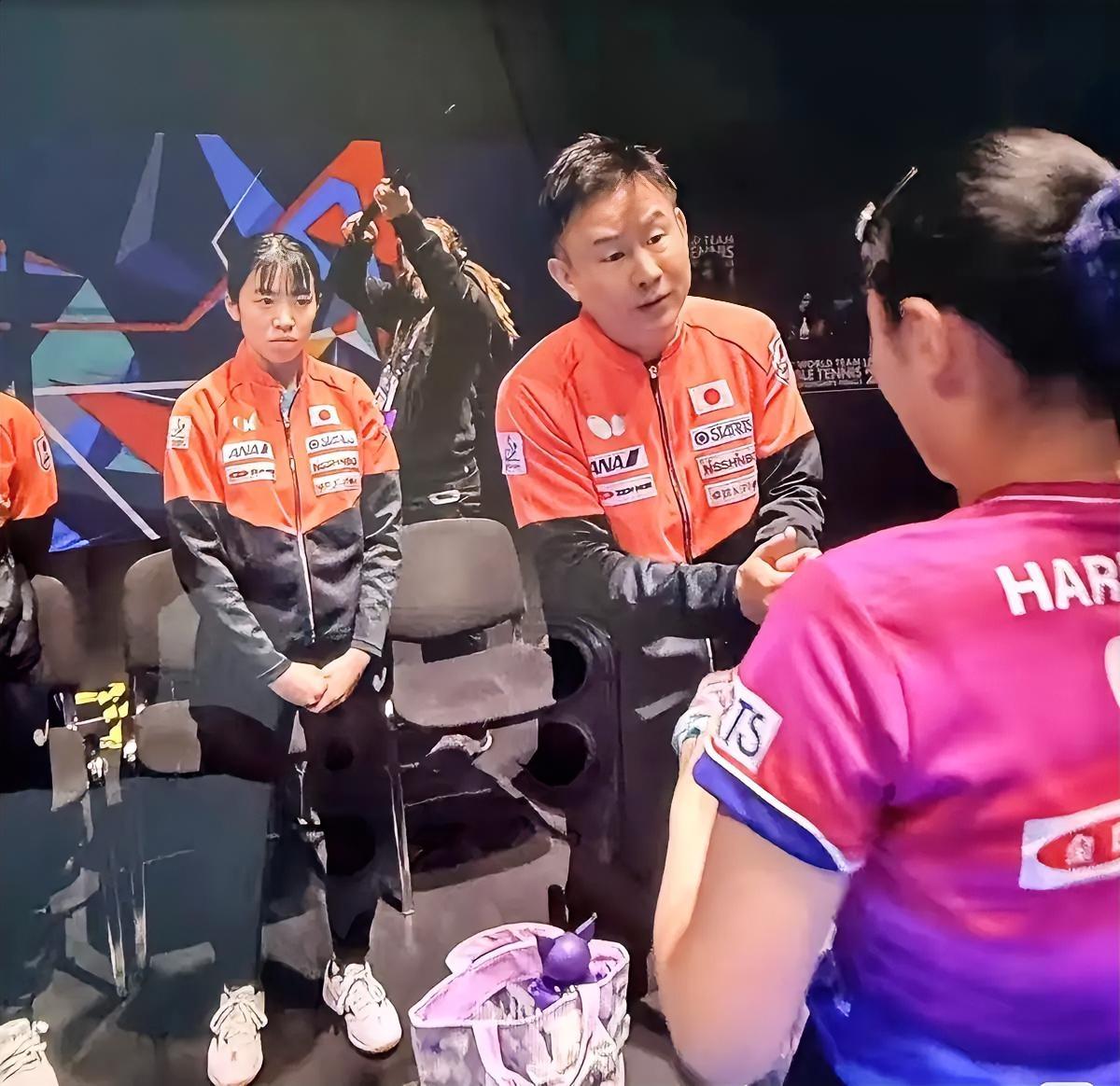 中泽锐双语指导张本美和：看似滑稽的背后，藏着最戳人的家国情怀全网都在笑中泽