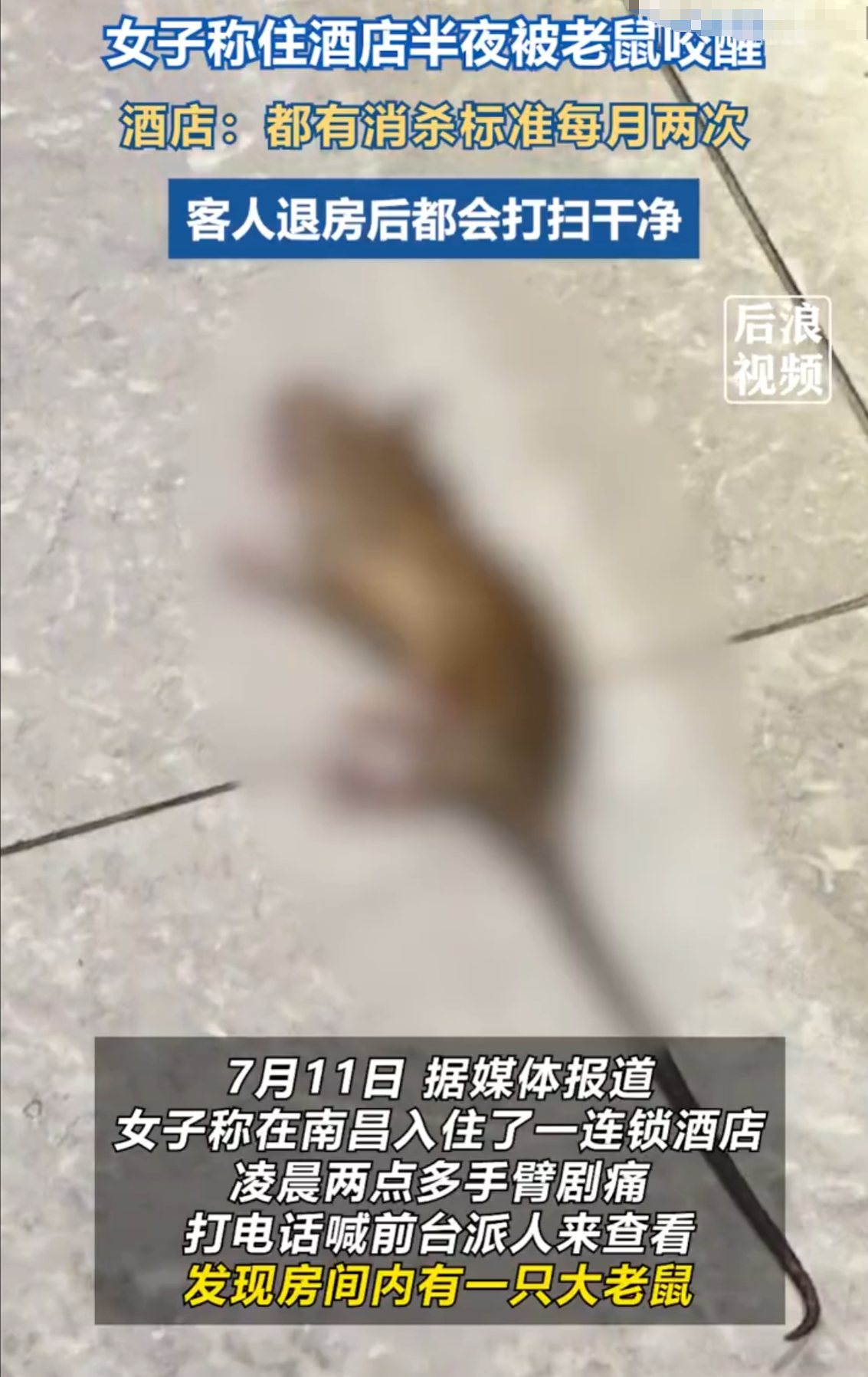 “太吓人了！”长沙女子入住酒店，深夜刚睡着就感觉手臂一阵剧痛，睁眼一看居然看到一