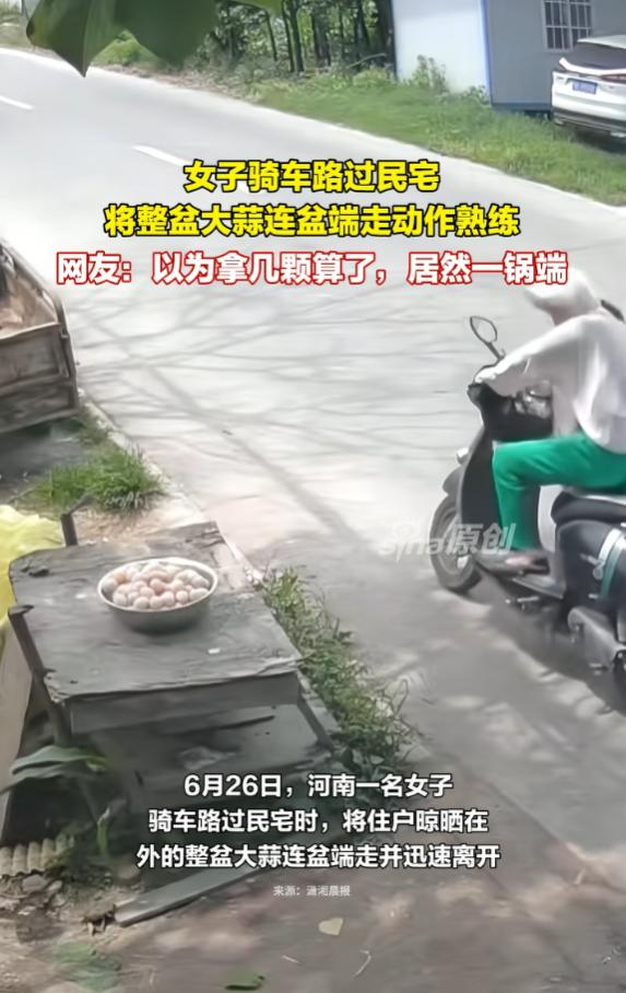“活不起了！”6月26日，河南，一住户看天气好，就将自家一整盆大蒜放在屋外晾晒，