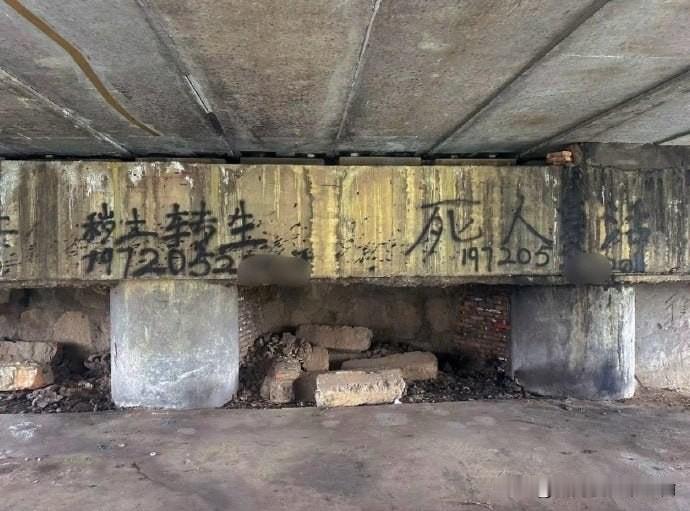 药师兜再就业？