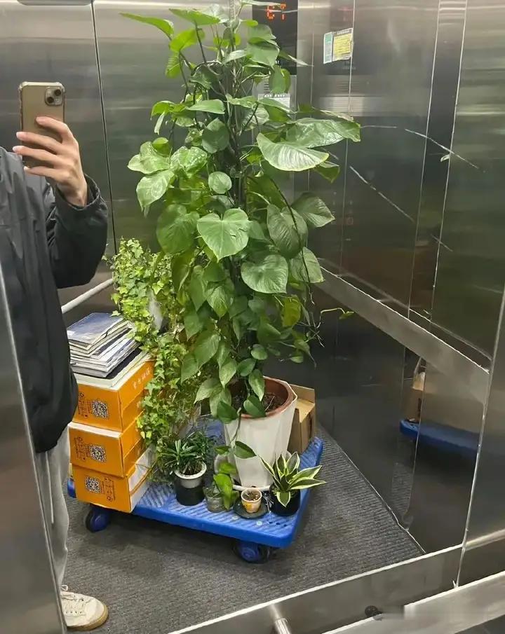 千万不要在工位放太多的个人物品，离职得喊搬家公司来处理