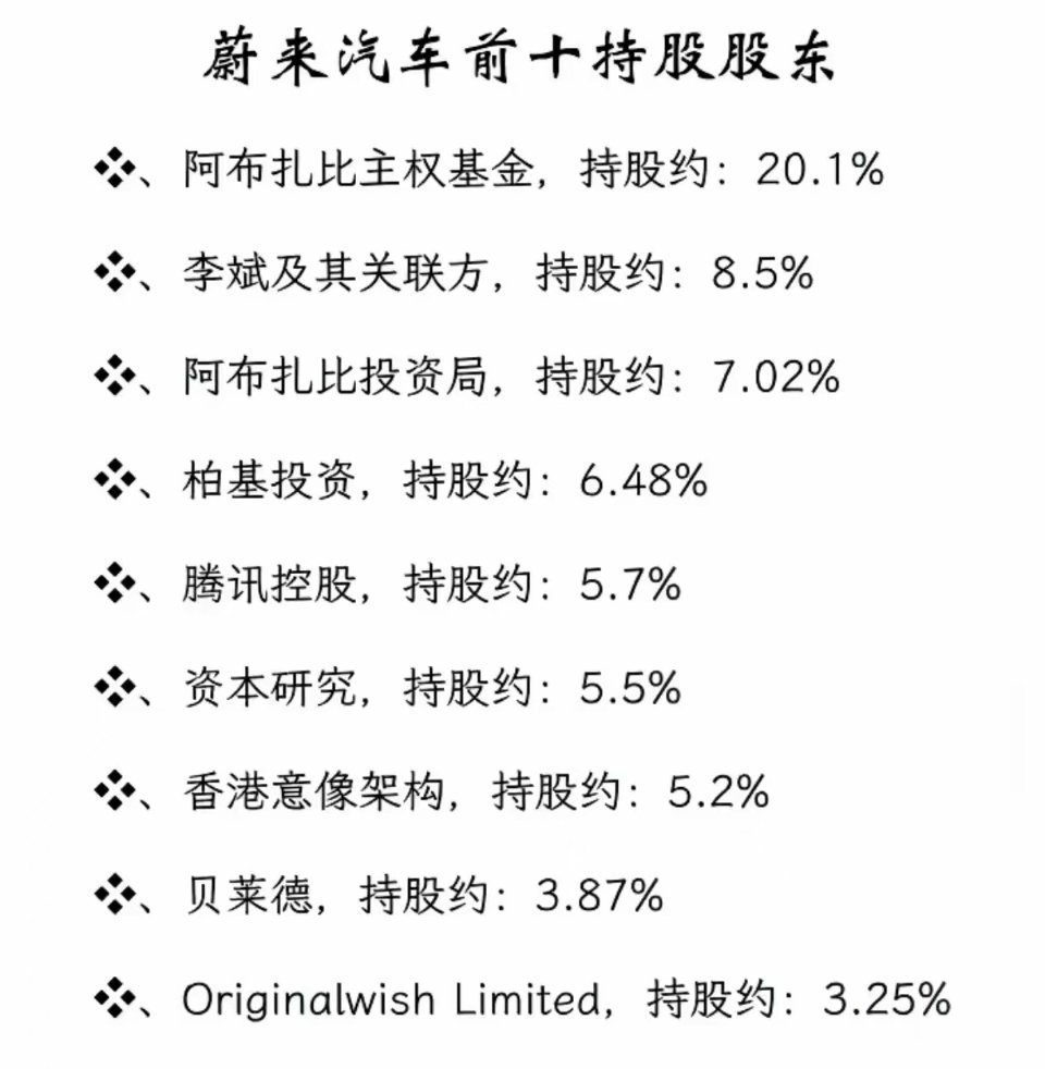 这是蔚来汽车的前十大股东所占有的蔚来股权比例，现在合肥早就没有蔚来的股份了。第一