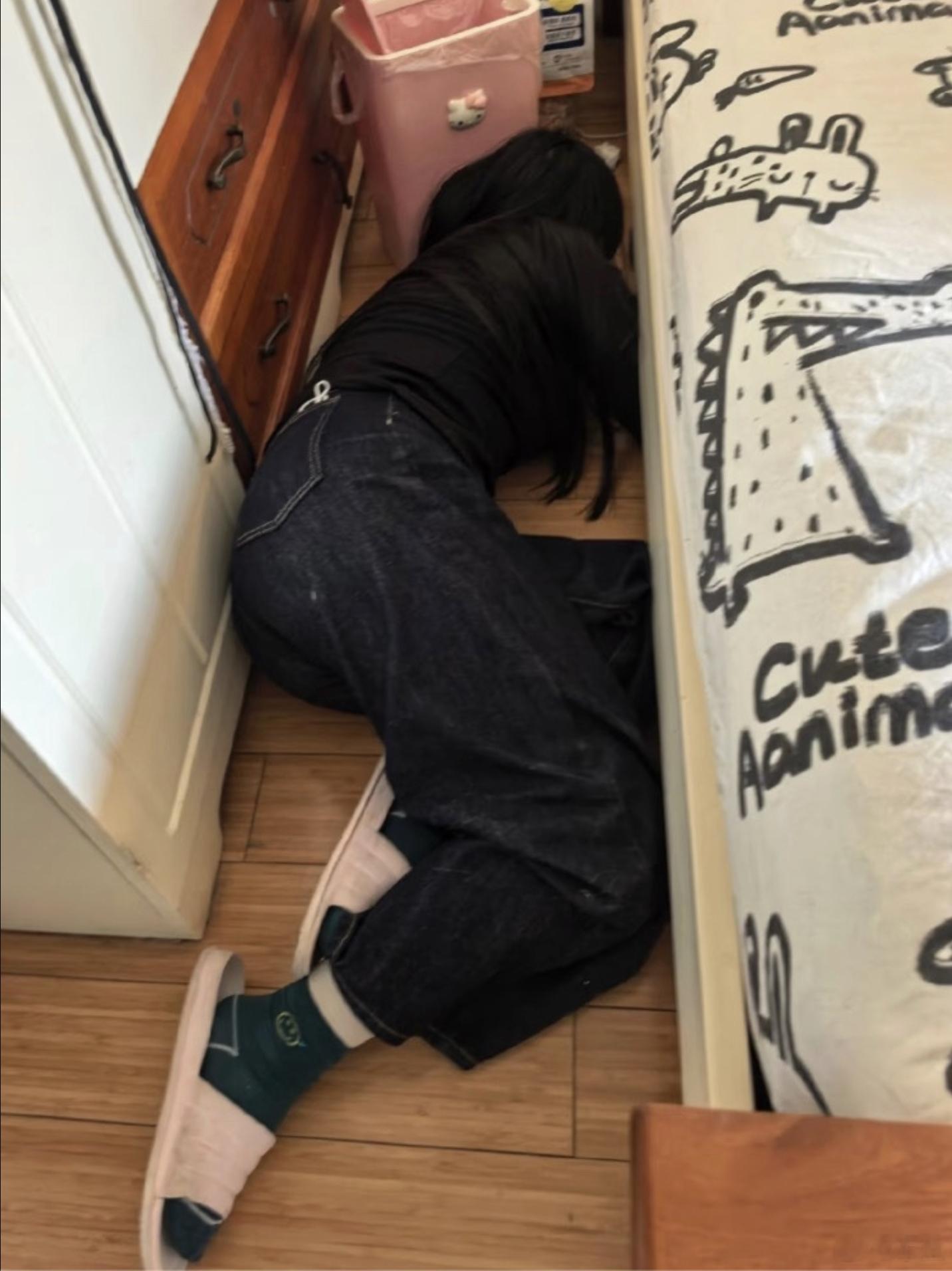 当养宠家里来了客人太真实了！家里一来人，猫就都藏起来了