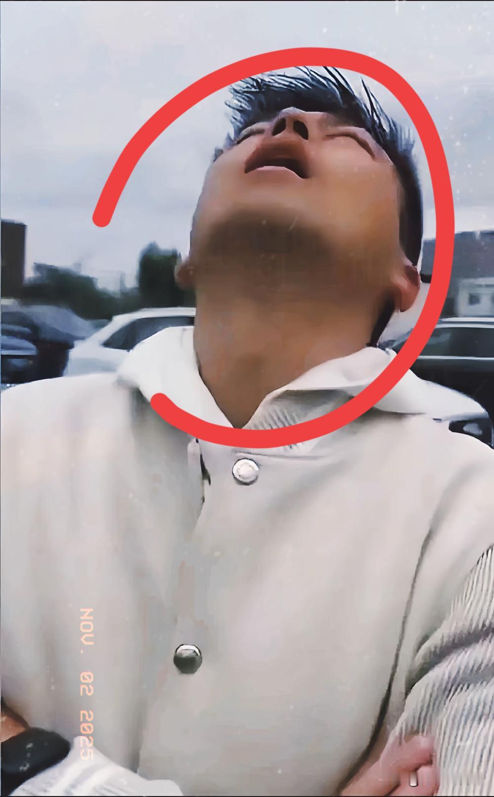 君合律所这波算是彻底“出圈”了！不光上海人议论得热闹，全国网友都在扒这事儿—