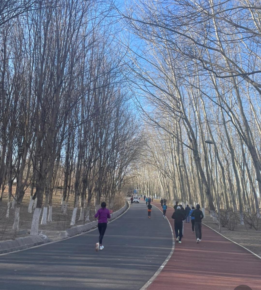 今年冬天的不同今年冬天我开启了每天跑步锻炼的模式。一开始那叫一个手忙脚乱，每一