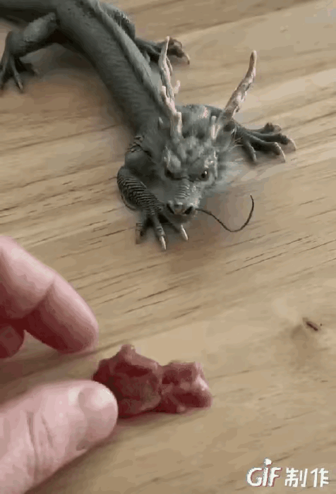 这不会是真的吧？