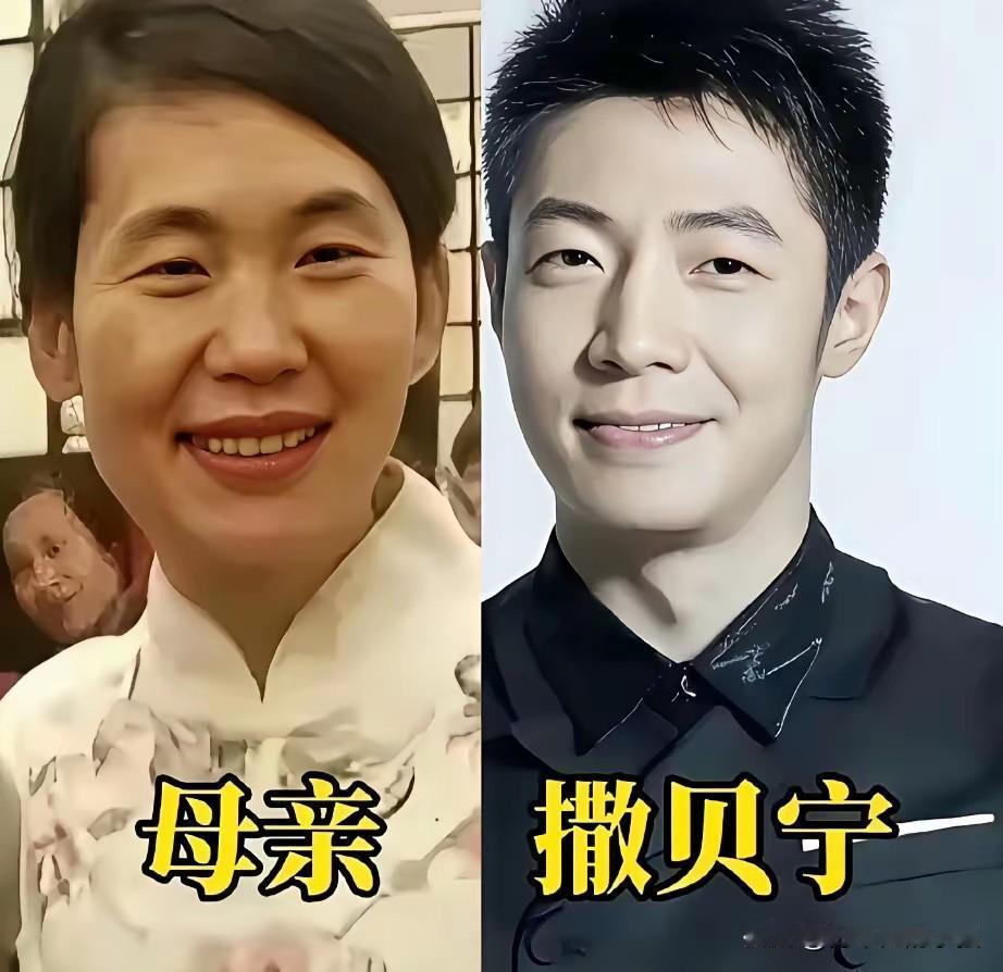 荧幕上沉稳大气的央视主持人，私下也有着普通的家庭。撒贝宁与妈妈、欧阳夏丹与妈妈
