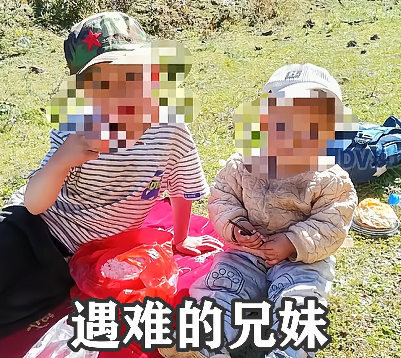 云南，兄妹玩耍遭胡蜂蜇死，挖出的细节：1、胡蜂是私养的，用来卖蜂蛹牟利，林
