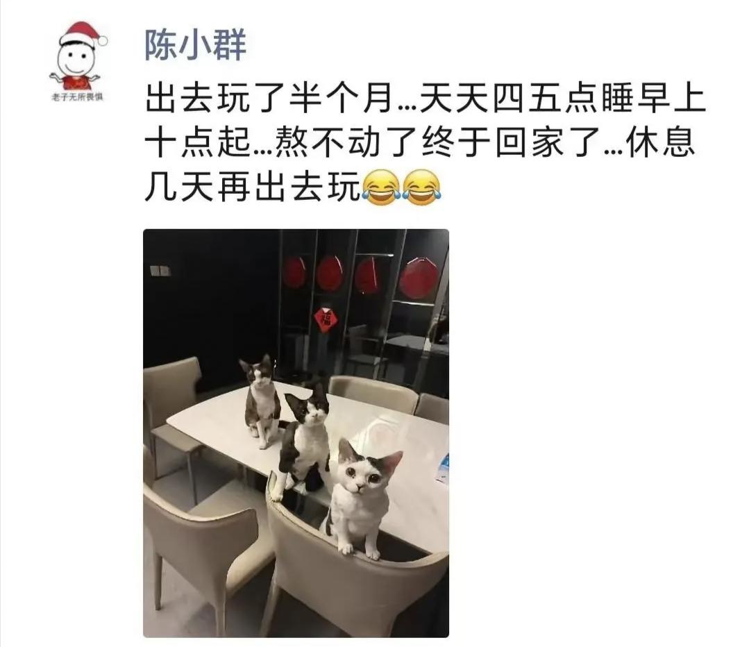 陈小群更新动态：