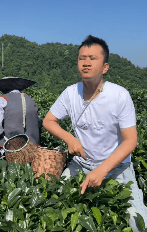 方法真的很重要！李嘉明学习采茶，一顿操作猛如虎，怎么看都是用了全力，结果一看框
