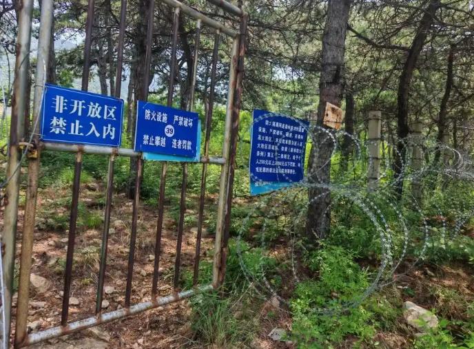 谁能想到千年泰山，居然用上监狱同款刀片铁丝网把整座山围了起来。环绕山体总长一百