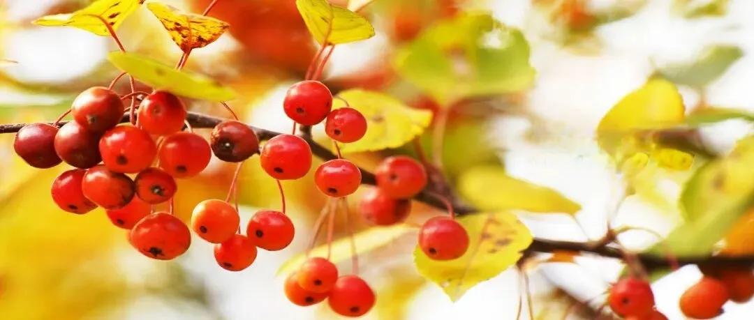 上周末，参加了高中同学聚会，都是一帮快60岁的老头老太太，发现家家有本难念的经。