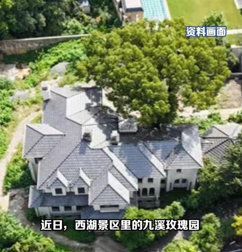 "有钱人的世界真看不懂！"浙江杭州市，一男子在某平台上，拍卖自家629.39平的