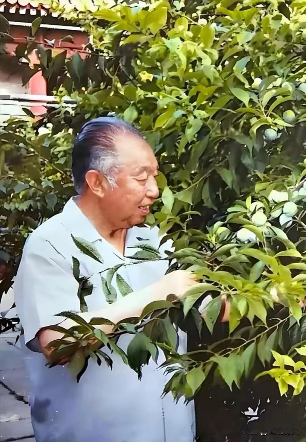 这张珍贵老照片拍摄于上个世纪90年代末期！一位德高望重的老人在退休之后就深居