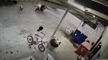 这猫没白养[赞]