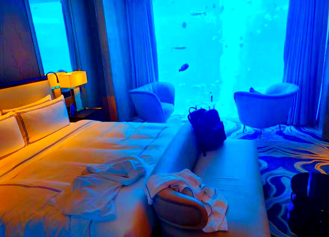 2026年1月1日，云南西双版纳的一家酒店发生了一件令人难以置信的奇特事件。谢女