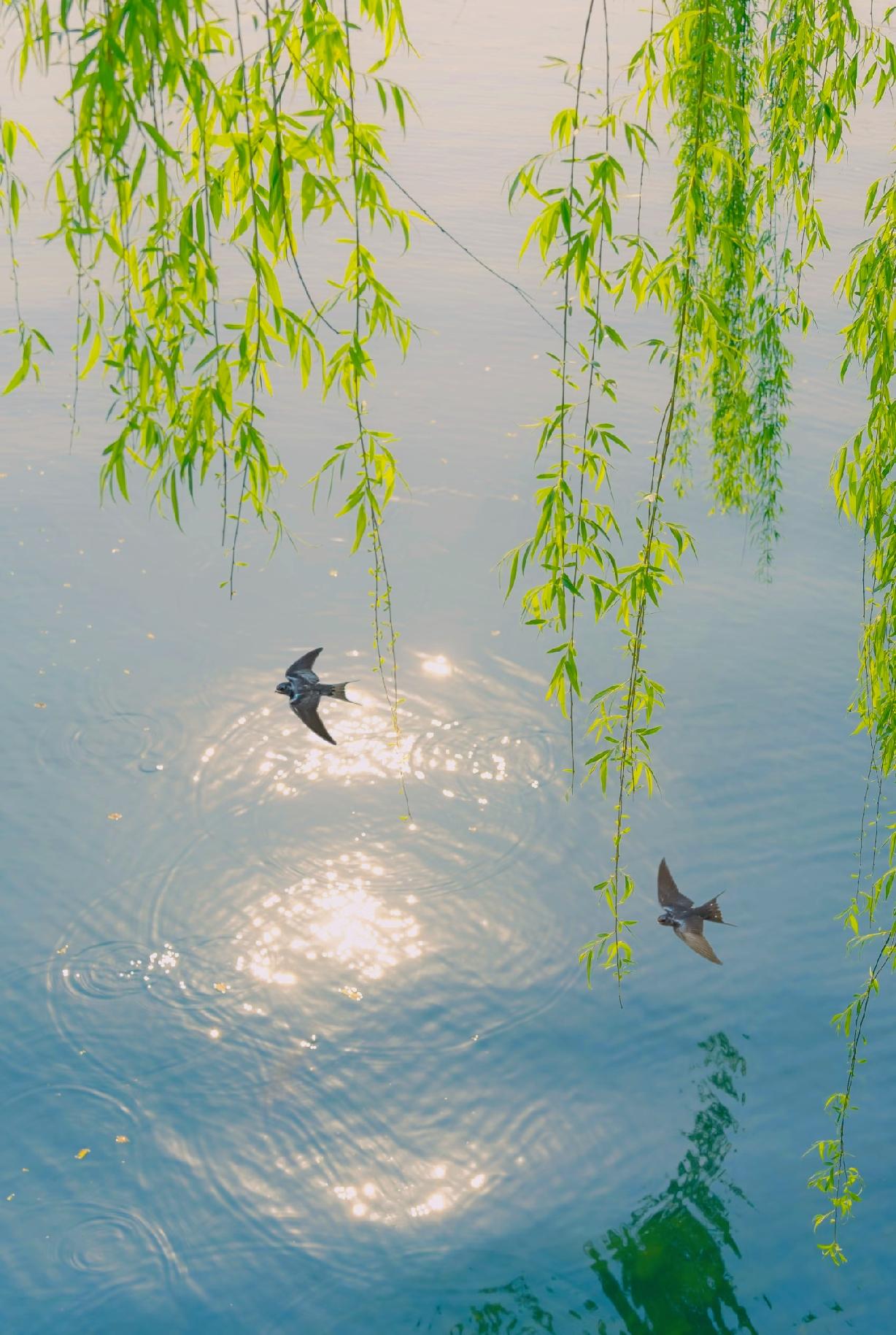 男女都好色，女人比男人瘾大。特别是尝到甜头的女人​。女人喜欢的男人始于颜值，敬于
