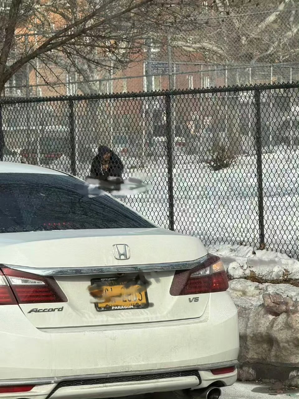 陈旺在纽约当街拉屎被拍到了