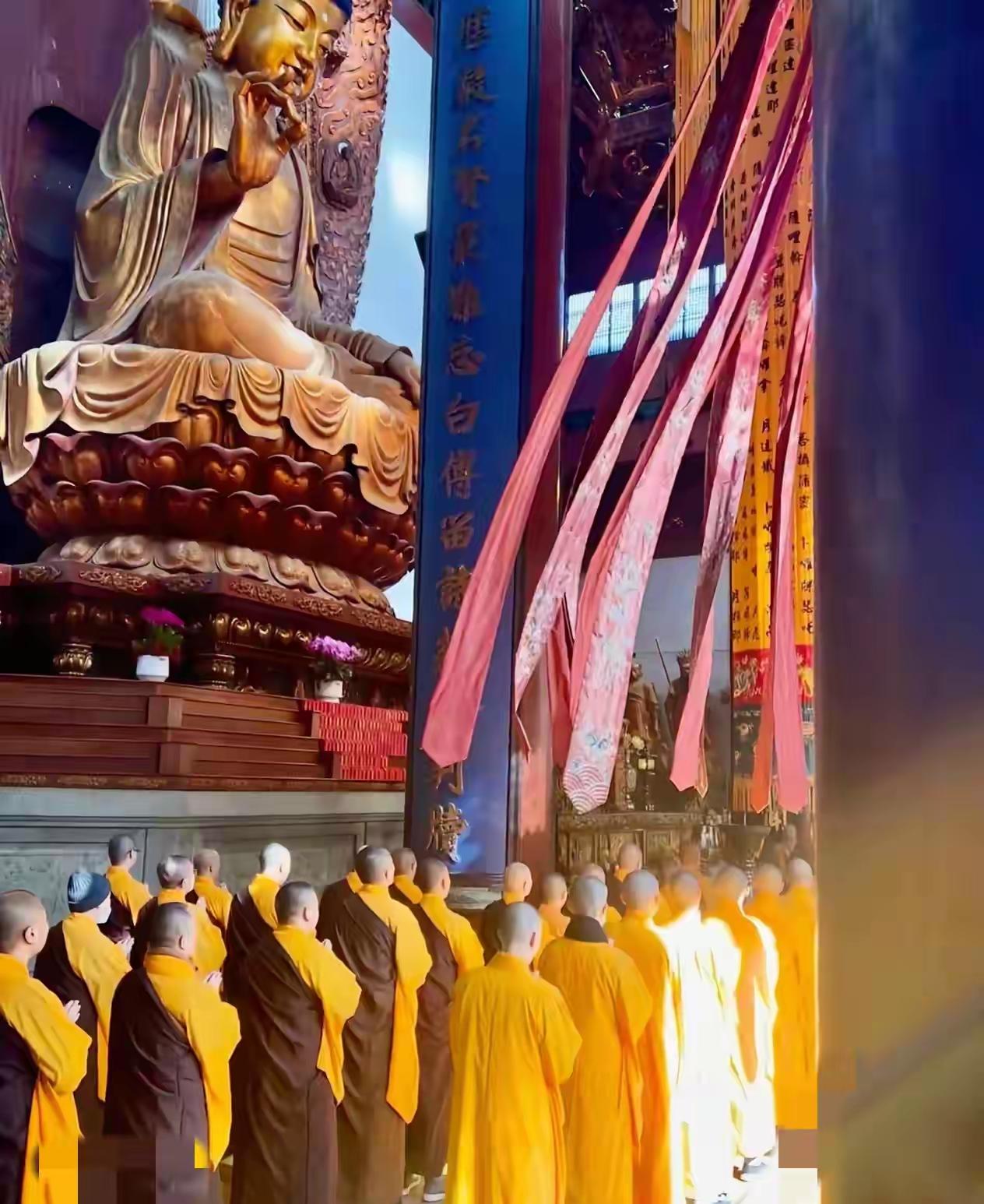 说真的，真应该感谢释永信！如果不是他，我们可能永远都享受不到这免费的门票。