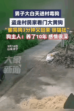 “必须严惩！”山东济宁，张先生养了10年的大黄狗突然没了踪影，他找遍整个村子都没