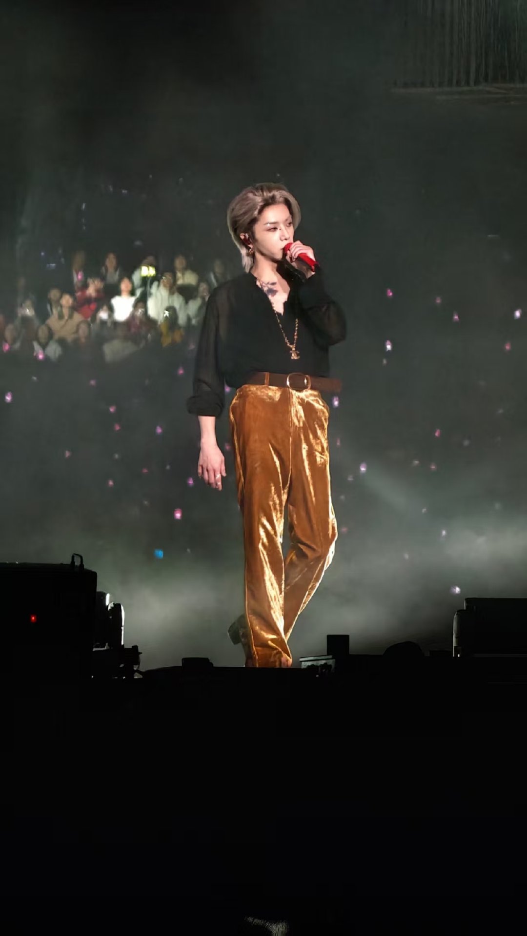 华晨宇热血番男主华晨宇这简直和热血番男主无缝衔接！Fs的灵动可爱，黑白FZ的冷