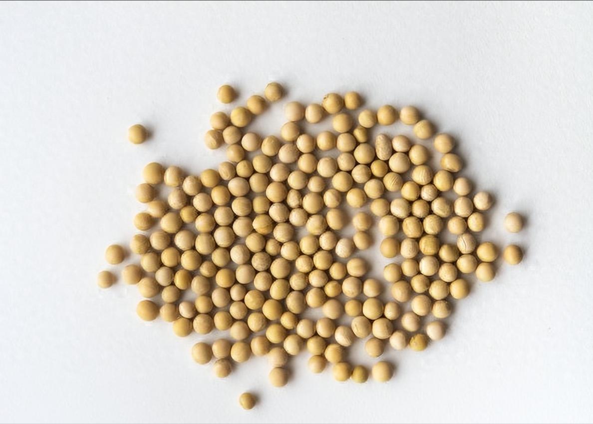 恢复进口美国大豆,为什么中国自己不种大豆?难点在哪里?美国官员宣布中国恢复大
