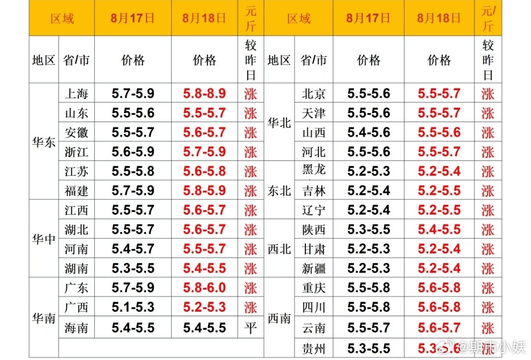 每日猪价