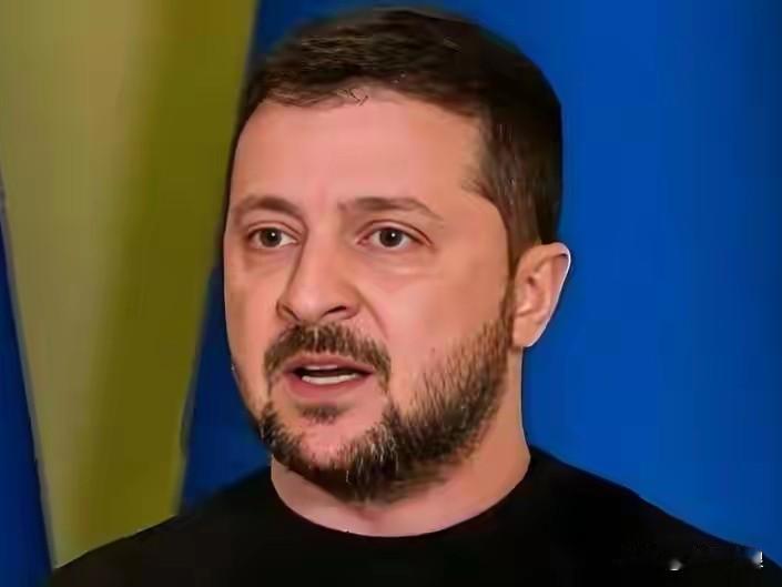 泽连斯基：希望立即举行俄乌总统会晤！刚刚，乌克兰总统泽连斯基表示，俄罗斯暂停