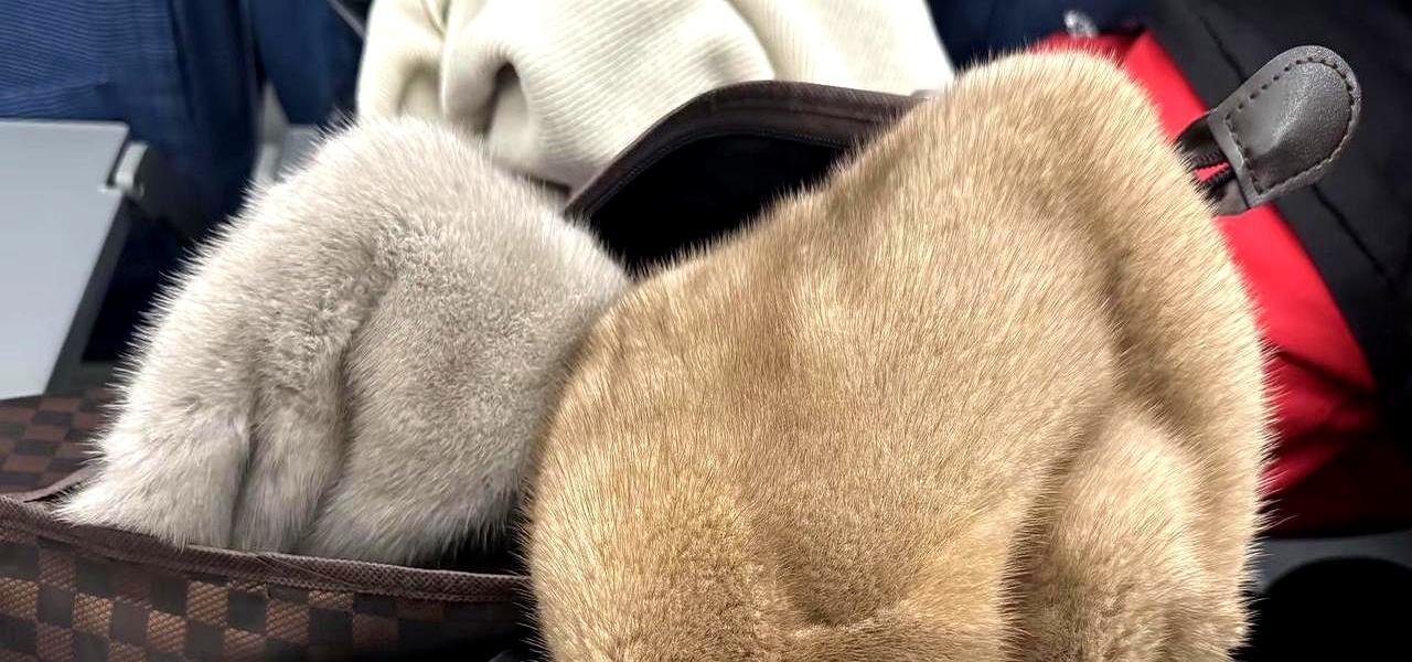 爱马仕跌下神坛貂皮大衣悄悄成了新钱圈暗号。今年世家皮草三月拍，280万张水