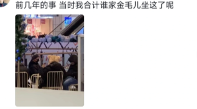 别说，还真挺像