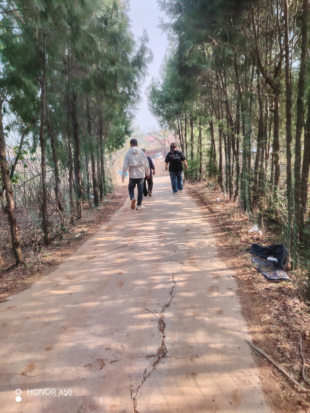 春日生活打卡季悠闲午后，荡漾在花海中的秋千，感受生活的宁静与美好。🌸🍃😊