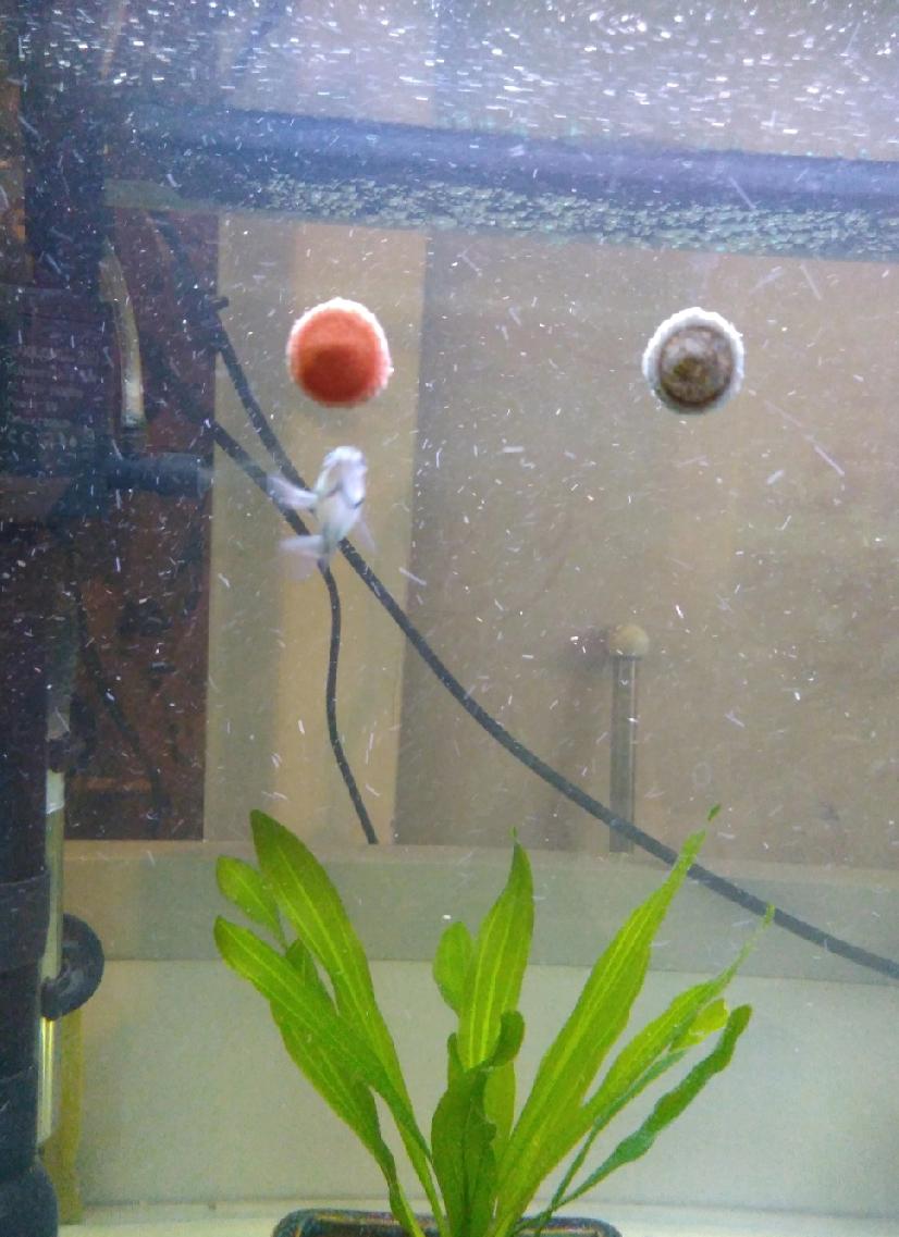 女子谈了个男朋友，已经订婚了，突然男朋友得了脑梗。由于治疗及时，现在已经康复了，