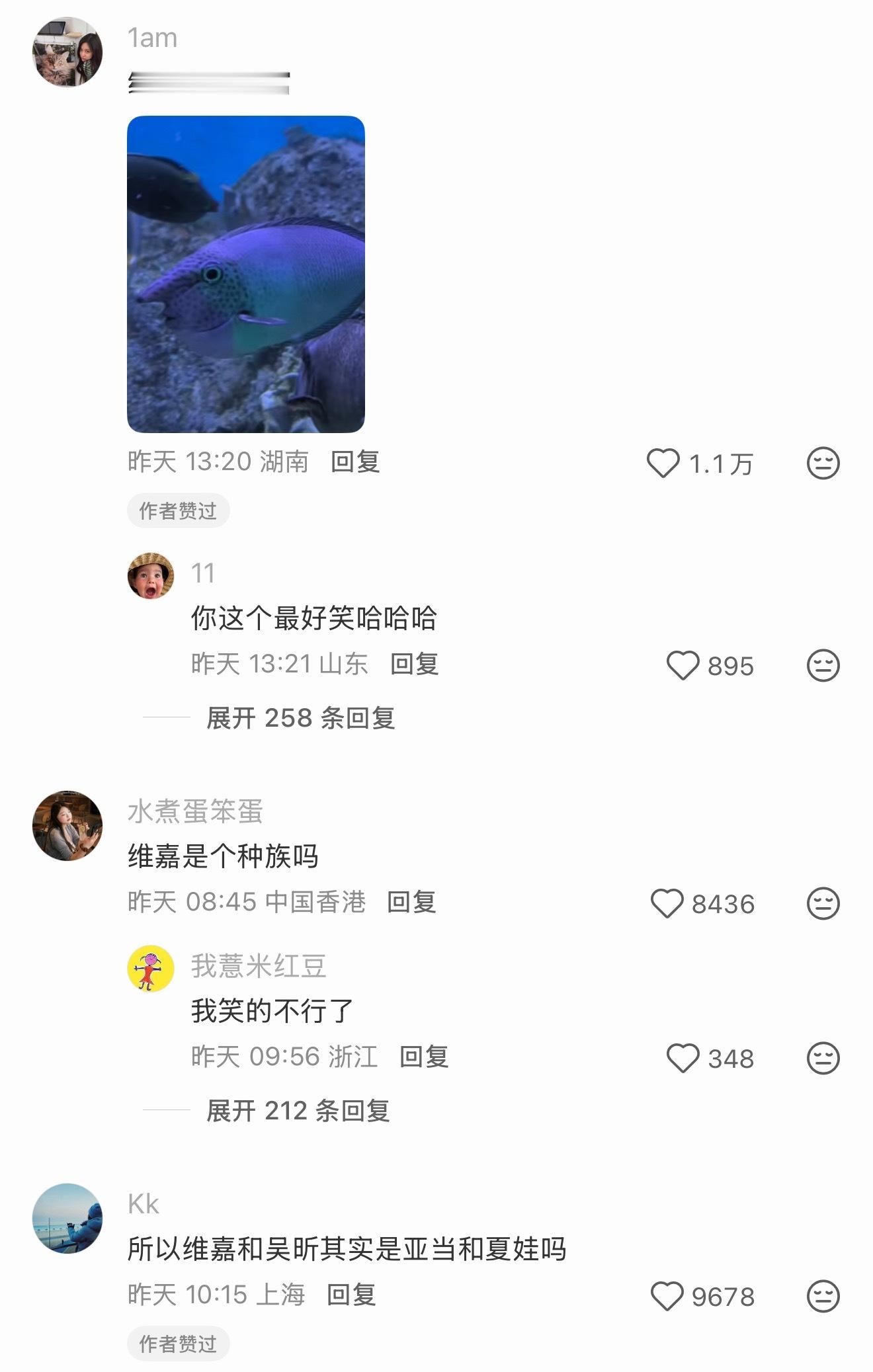 维嘉宇宙