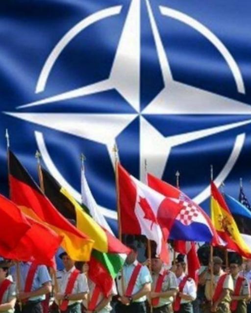 最近网上老有人聊，菲律宾和越南会不会加入北约，还有人说，要是这俩国家真加入了，中