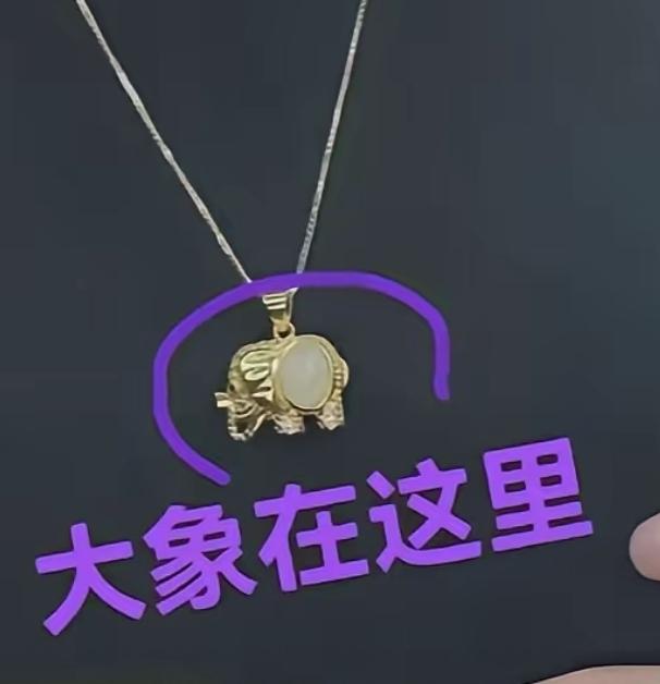 刚才刷手机，看到有人提“大象梗”，我愣了半天才反应过来。真的，我昨天下单项链下播