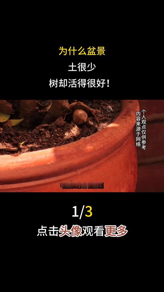 为什么盆景土很少，树却活得很好！为什么盆景土很少，树却活得很好？很多人都疑惑，