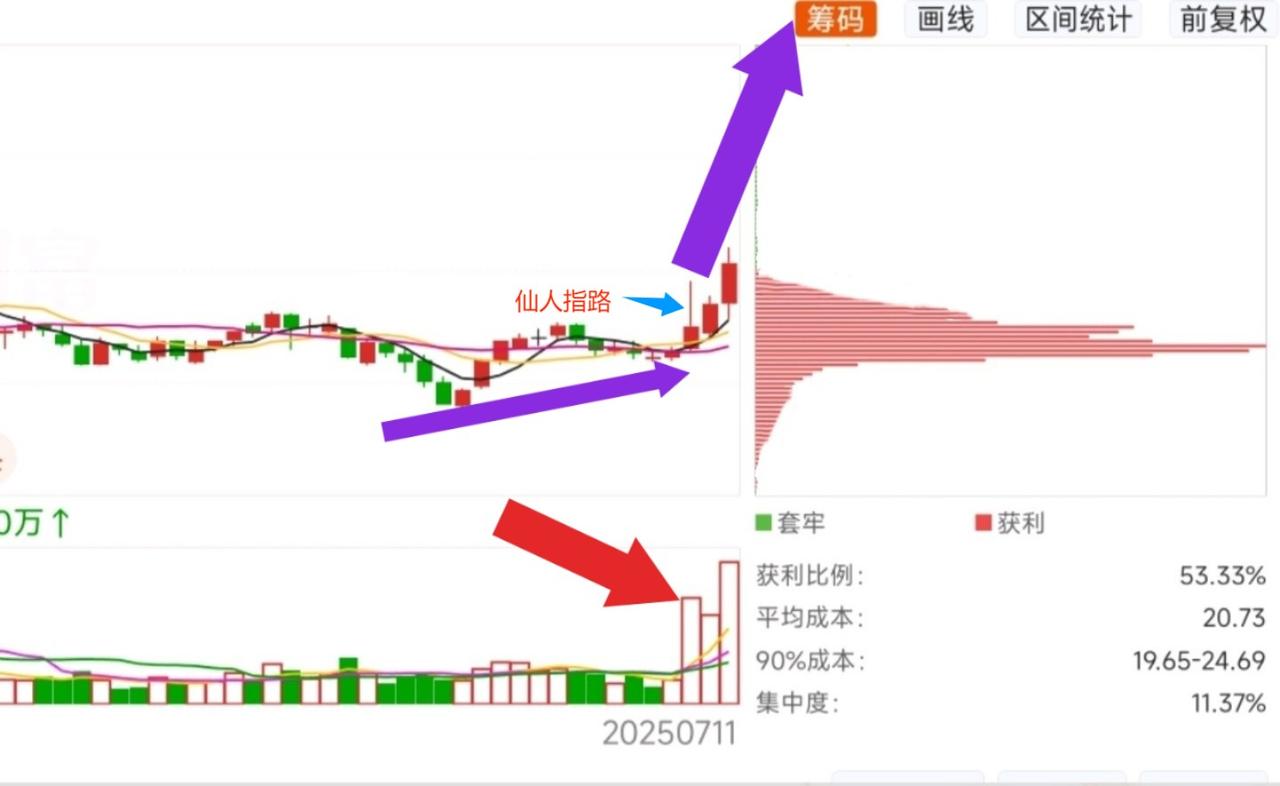 下一个“海能达”人形机器人+PEEK+中报预增1763%7月正式启动，