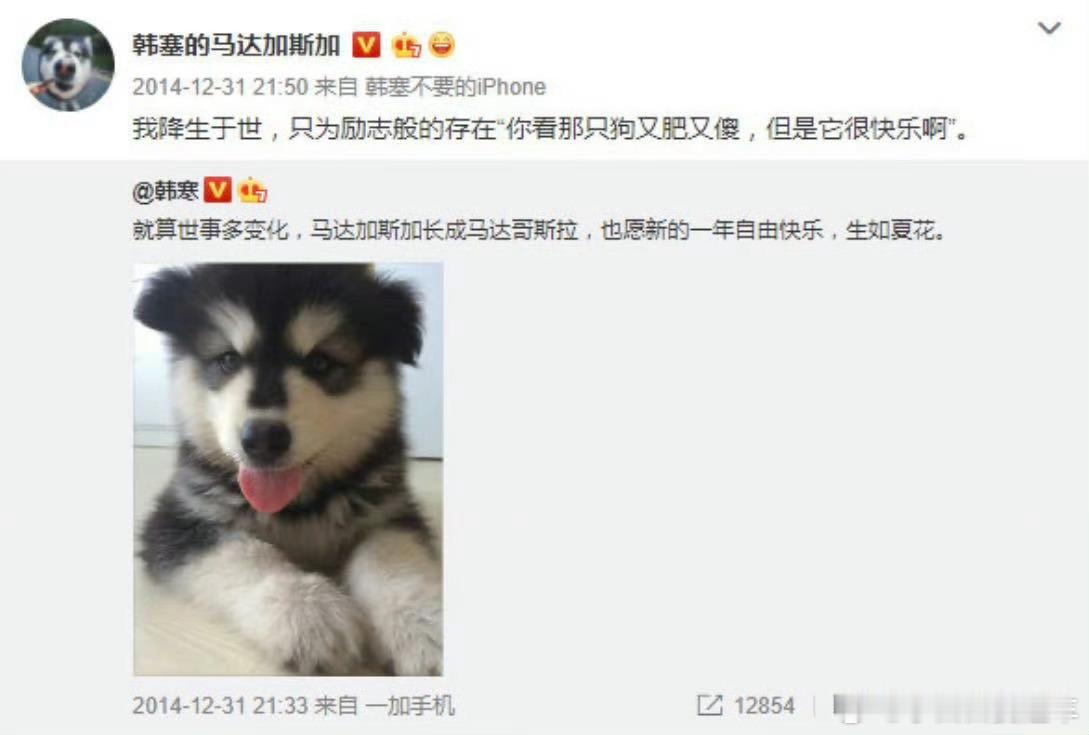 黄晓明养了韩寒爱犬的儿子我也好喜欢阿拉斯加而且阿拉斯加真的很大！坐着比我都高！！