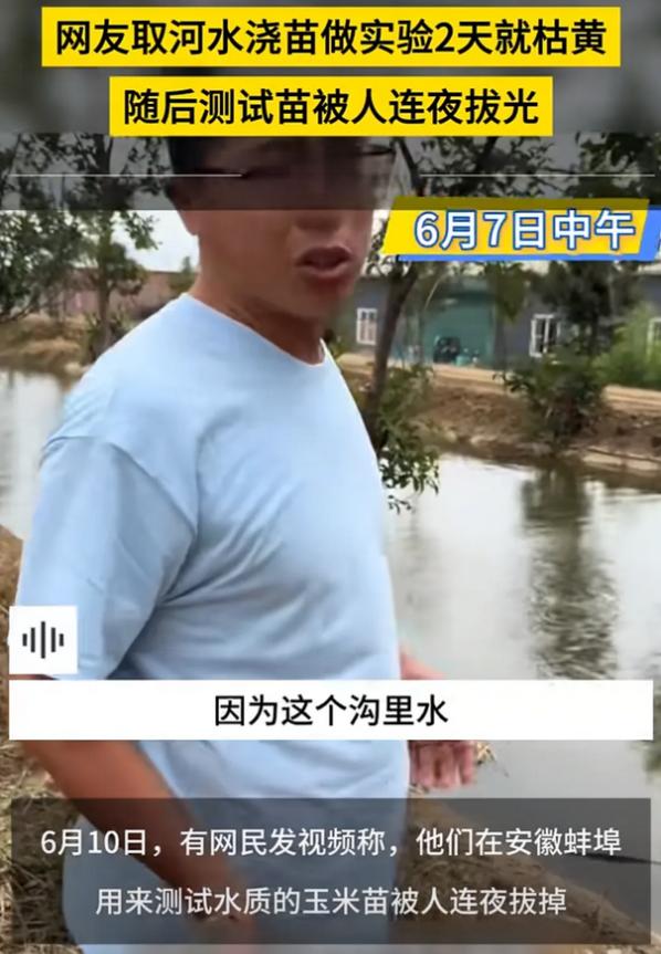 我解决不了水质，但我能毁尸灭迹！安徽蚌埠一地被曝水污染，网友取河水浇苗做实验2天