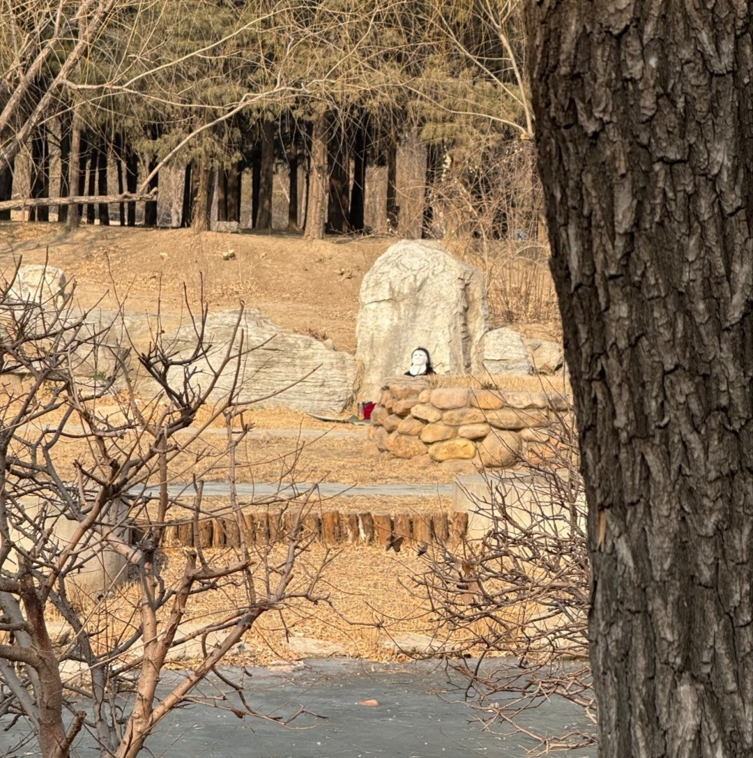 本意是向一位姐姐学，午饭以后到公园遛遛弯，能消消食也能锻炼一下身体。结果……哈哈