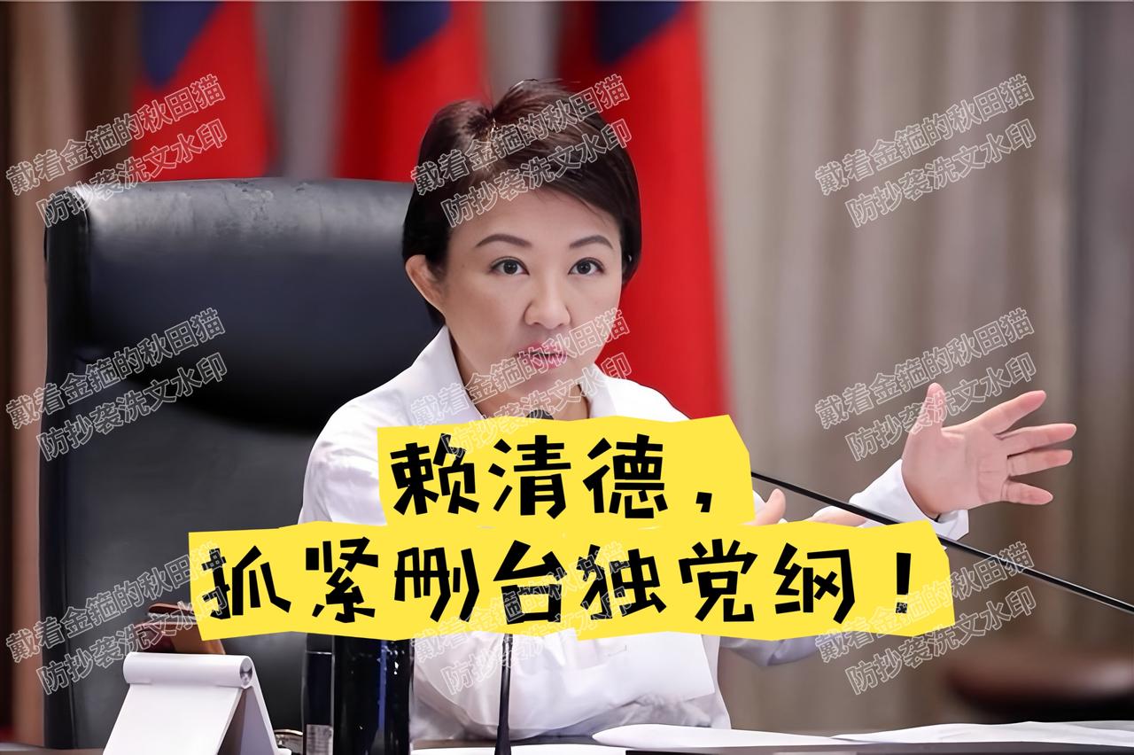 大快人心！蒋万安、侯友宜、卢秀燕、赵少康、柯文哲等五人齐声怒斥“台独党纲”：赖清