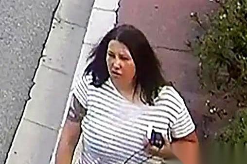 一个女杀手，被国际刑警全球通缉，你猜她往哪儿跑？她跑回了自己祖国。她以为回家就
