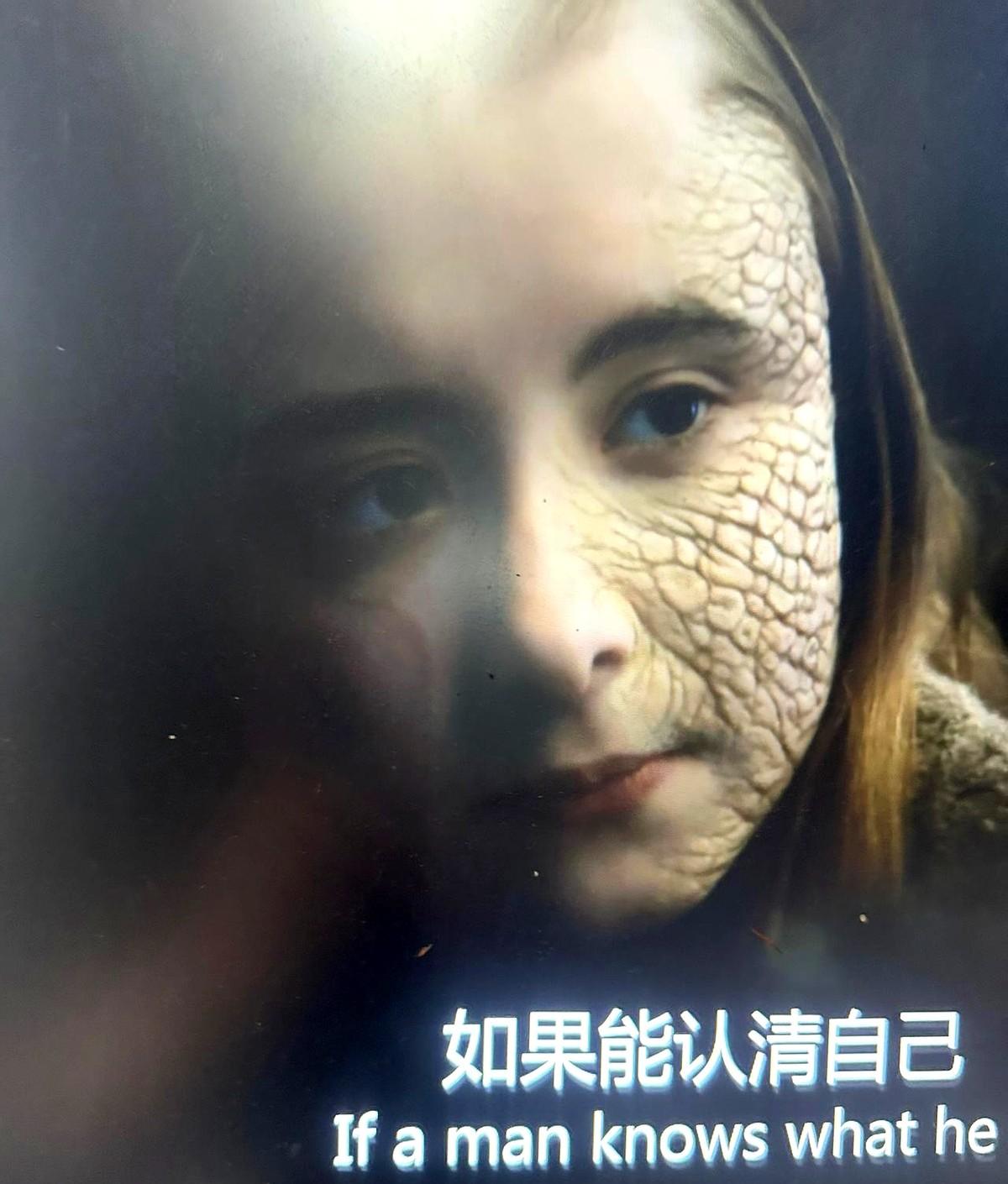 重刷《权力的游戏》，看到席琳小公主那段，还是没忍住。斯坦尼斯，你怎么忍得下心