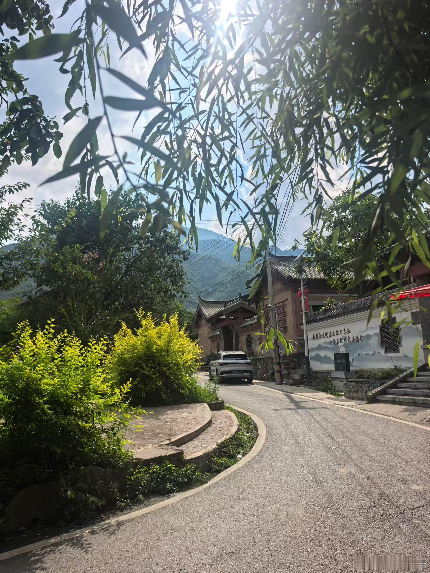 蓝天县青坪村牛虻泛滥，提醒7、8月勿进山！青坪村是灞河源头、秦岭北麓深山溪