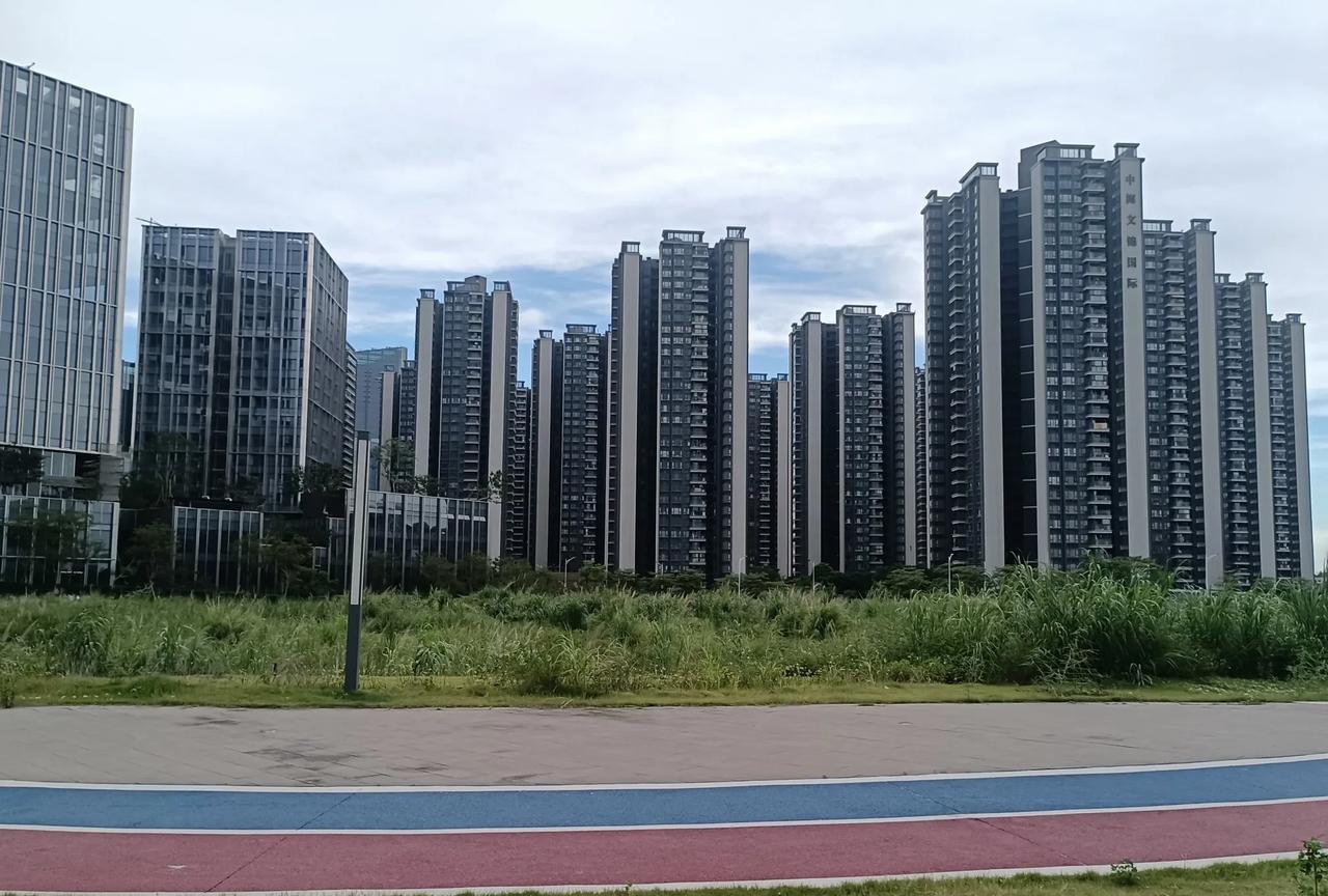 从重庆这个火炉跑到广州这个更热的闷炉确实有些不情不愿。因为儿子在广州这边的原因