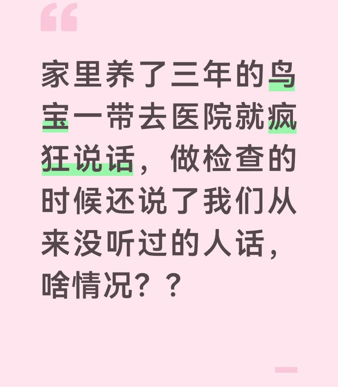 哈哈哈小鸟一去医院就疯狂说话，其实那是在疯狂求救