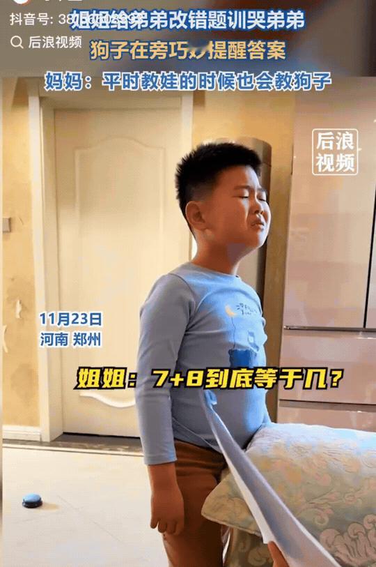 笑不活了！河南郑州，姐姐帮助弟弟检查数学作业，姐姐问他7+8=？。弟弟说不出来，